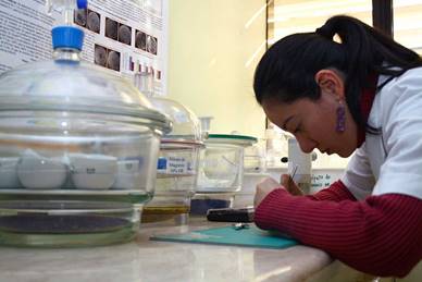 Diplomado en Gestión de Calidad en Laboratorios Clínicos titula a su octava generación de estudiantes