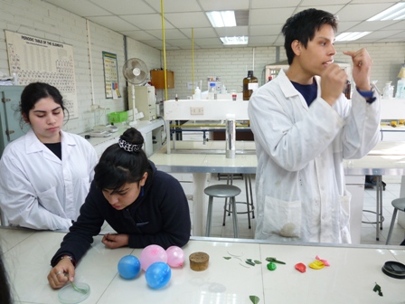 Estudiantes diseñan proyecto para acercar enseñanza de la ciencia a Liceo de la red propedéutico